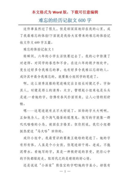 如何写好一次经历作文_一次经历作文600字怎么写-第1张图片-星辰妙记