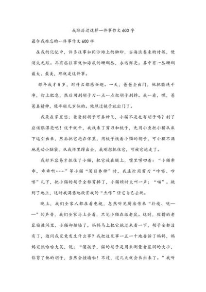 如何写好一次经历作文_一次经历作文600字怎么写-第2张图片-星辰妙记