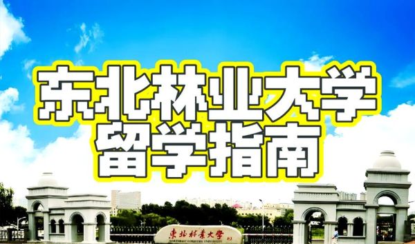 东北林业大学在哪_东北林业大学具体位置-第2张图片-星辰妙记