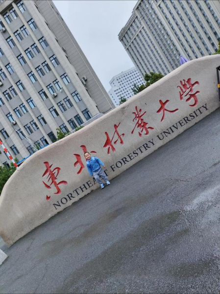 东北林业大学在哪_东北林业大学具体位置-第1张图片-星辰妙记