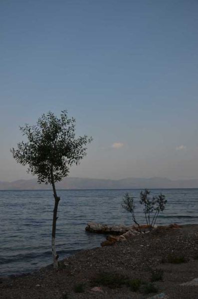 望海公园作文怎么写_望海公园有哪些景物-第3张图片-星辰妙记