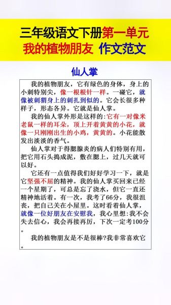 仙人掌怎么写作文_仙人掌作文300字怎么扩展-第1张图片-星辰妙记