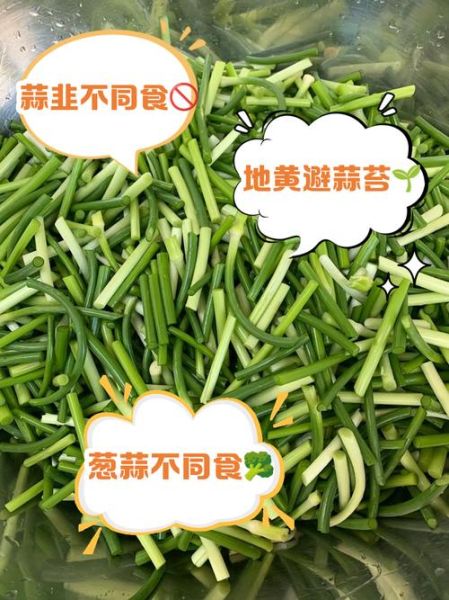 孕妇能吃蒜苔吗_怀孕吃蒜苔对胎儿好吗-第3张图片-星辰妙记