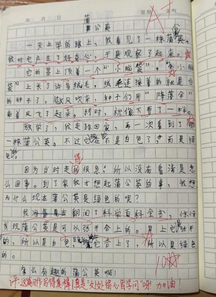三年级作文怎么写_三年级作文300字范文-第2张图片-星辰妙记