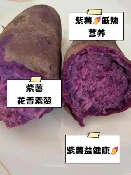 孕妇吃紫薯好还是红薯好_孕期吃紫薯和红薯哪个更营养-第2张图片-星辰妙记