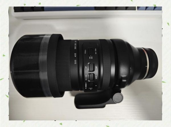 佳能镜头和腾龙镜头哪个好_选购对比与实拍体验-第1张图片-星辰妙记