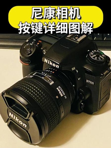 镜头释放按钮在哪_镜头释放按钮怎么按-第1张图片-星辰妙记