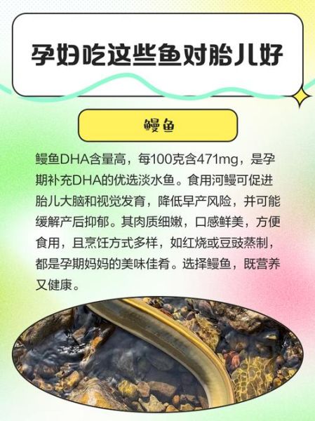 孕妇能吃鱼籽吗_鱼籽对胎儿的影响-第2张图片-星辰妙记