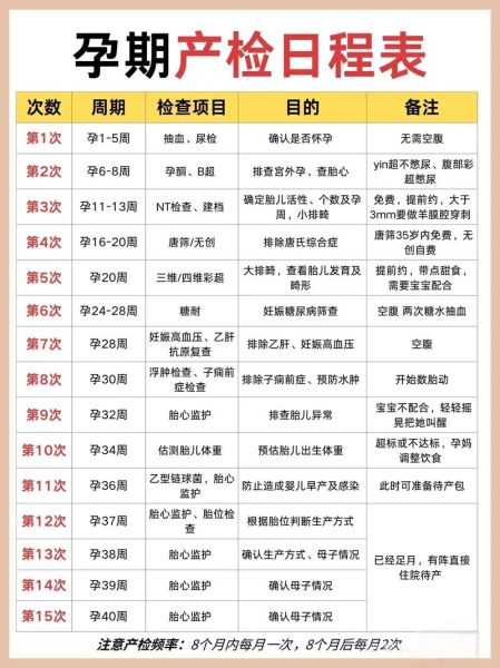 孕妇彩超检查时间_孕妇彩超检查注意事项-第1张图片-星辰妙记