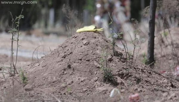 孕妇梦见坟墓是胎梦吗_孕妇梦见坟墓预示什么-第3张图片-星辰妙记