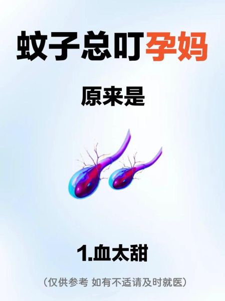 孕妇被蚊子咬了怎么办_孕妇能用驱蚊液吗-第3张图片-星辰妙记