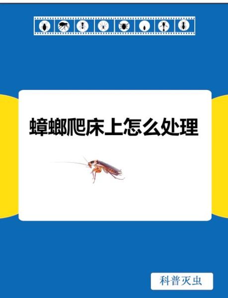 孕妇梦见蟑螂爬到身上_周公解梦准吗-第1张图片-星辰妙记