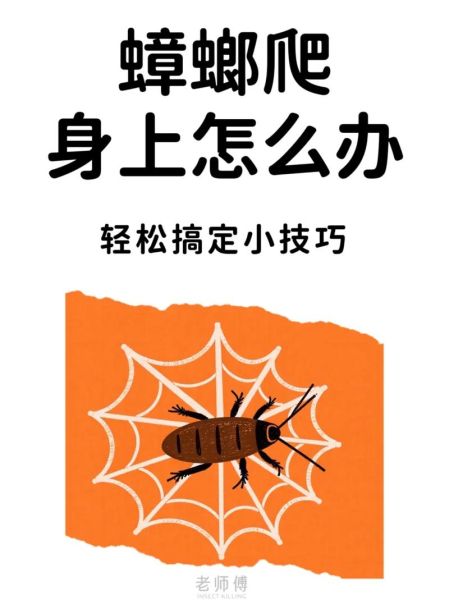 孕妇梦见蟑螂爬到身上_周公解梦准吗-第3张图片-星辰妙记