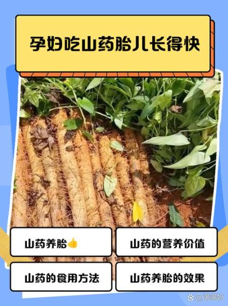 孕妇可以吃山药吗_山药对胎儿有什么好处-第2张图片-星辰妙记