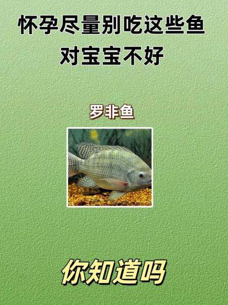 孕妇能吃哪些鱼_孕期吃鱼安全指南-第1张图片-星辰妙记