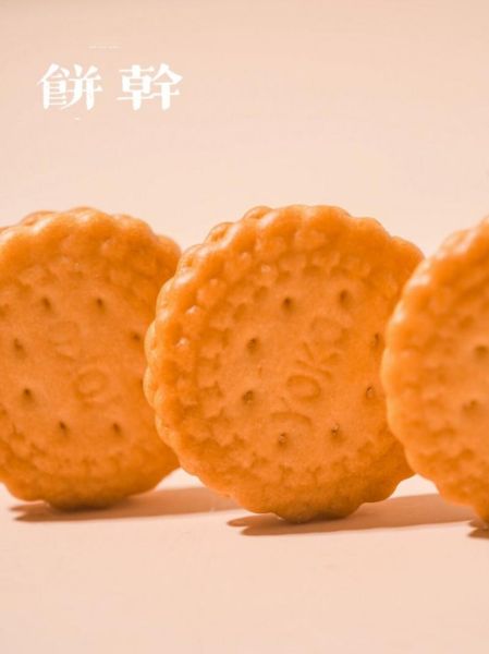 饼干镜头适合拍什么_饼干镜头适合拍人像吗-第3张图片-星辰妙记