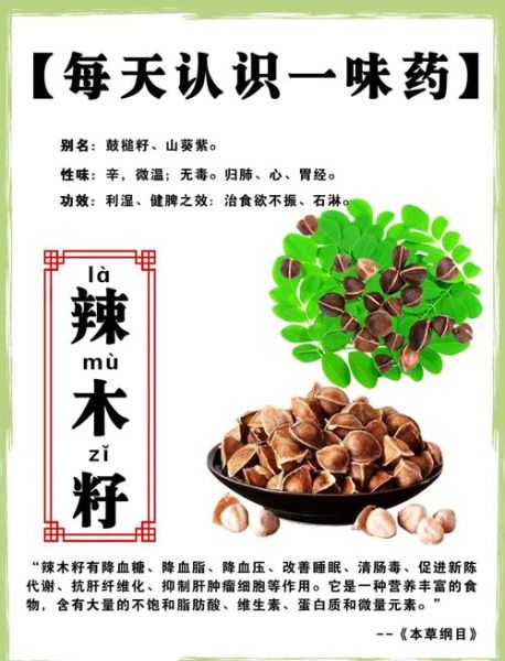 孕妇可以吃辣木籽吗_辣木籽对孕妇的影响-第1张图片-星辰妙记