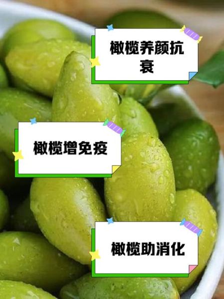 孕妇可以吃橄榄吗_怀孕吃橄榄注意事项-第3张图片-星辰妙记