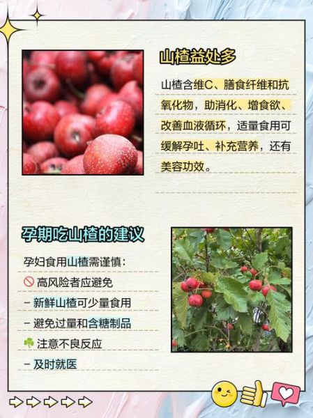 孕妇能吃山楂吗_山楂对胎儿的影响-第2张图片-星辰妙记