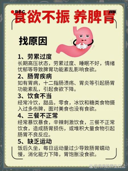 孕妇脾胃虚弱吃什么好_如何调理脾胃-第1张图片-星辰妙记