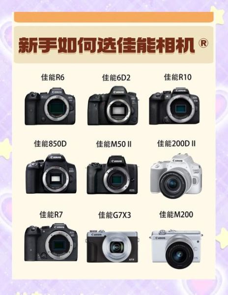 佳能必买镜头推荐_新手怎么选-第2张图片-星辰妙记