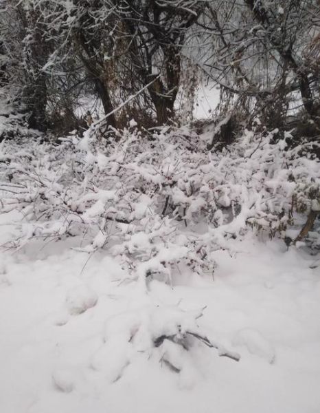 孕妇梦见下雪是什么征兆_孕妇梦见下雪生男生女-第3张图片-星辰妙记 孕妇梦见下雪是什么征兆_孕妇梦见下雪生男生女-第3张图片-星辰妙记