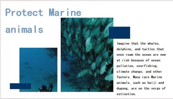 how_to_protect_endangered_animals_why_are_species_vanishing-第2张图片-星辰妙记 how_to_protect_endangered_animals_why_are_species_vanishing-第2张图片-星辰妙记