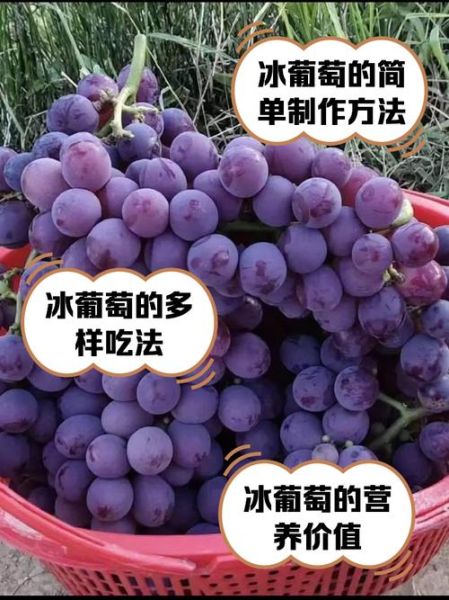 孕妇可以吃冰葡萄吗_冰葡萄对胎儿有影响吗-第1张图片-星辰妙记