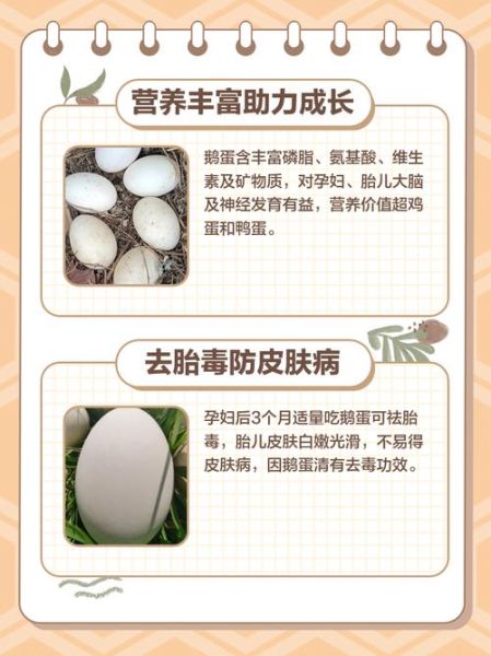 孕妇吃鹅蛋好吗_孕妇吃鹅蛋有什么好处-第3张图片-星辰妙记