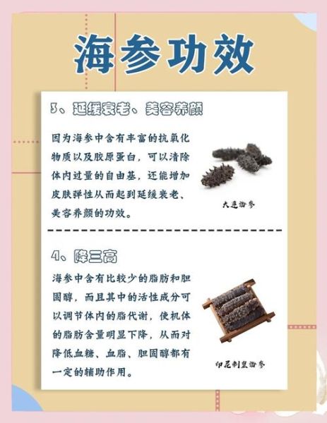 孕妇吃海参对胎儿有什么好处_海参对胎儿发育真的好吗-第3张图片-星辰妙记 孕妇吃海参对胎儿有什么好处_海参对胎儿发育真的好吗-第3张图片-星辰妙记