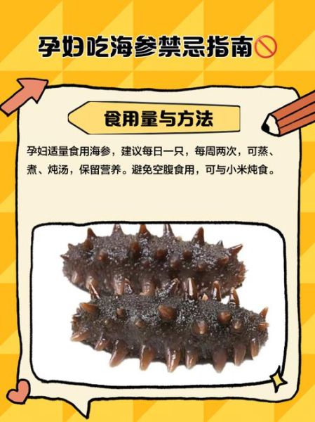孕妇吃海参对胎儿有什么好处_海参对胎儿发育真的好吗-第2张图片-星辰妙记 孕妇吃海参对胎儿有什么好处_海参对胎儿发育真的好吗-第2张图片-星辰妙记