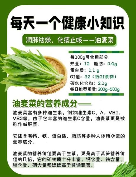 油麦菜孕妇能吃吗_孕妇吃油麦菜的好处与禁忌-第1张图片-星辰妙记 油麦菜孕妇能吃吗_孕妇吃油麦菜的好处与禁忌-第1张图片-星辰妙记