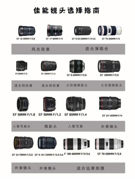 佳能必买镜头推荐_新手选哪个焦段-第1张图片-星辰妙记