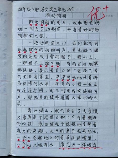 七年级作文怎么写_七年级作文写作技巧-第3张图片-星辰妙记 七年级作文怎么写_七年级作文写作技巧-第3张图片-星辰妙记