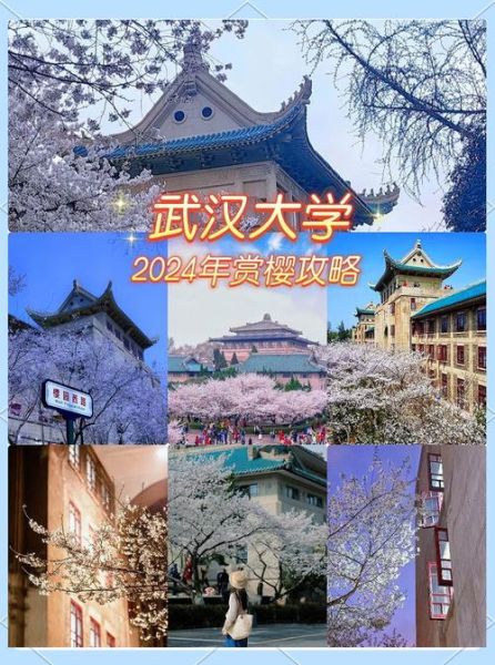 武汉大学中文系怎么样_就业前景如何-第1张图片-星辰妙记 武汉大学中文系怎么样_就业前景如何-第1张图片-星辰妙记