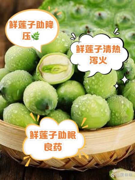 孕妇可以吃新鲜莲子吗_新鲜莲子孕妇能吃吗-第1张图片-星辰妙记