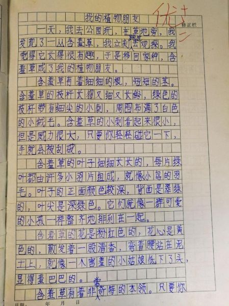 含羞草为什么会害羞_含羞草作文怎么写-第2张图片-星辰妙记 含羞草为什么会害羞_含羞草作文怎么写-第2张图片-星辰妙记