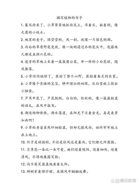 作文好句怎么写_作文好句有哪些类型-第3张图片-星辰妙记