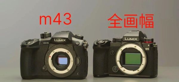为什么m43镜头贵_m43镜头价格高的原因-第2张图片-星辰妙记