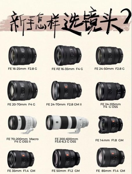 微单镜头怎么选_微单镜头推荐-第2张图片-星辰妙记