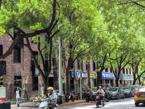 城市街景镜头怎么拍_街景拍摄技巧有哪些-第2张图片-星辰妙记