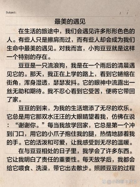 最美的遇见作文怎么写_最美的遇见600字范文-第3张图片-星辰妙记