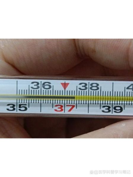 孕妇体温正常范围是多少_孕妇体温37.5度算发烧吗-第3张图片-星辰妙记 孕妇体温正常范围是多少_孕妇体温37.5度算发烧吗-第3张图片-星辰妙记