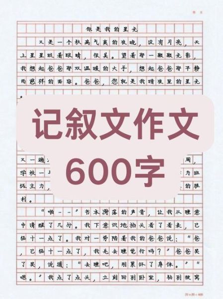 什么是插叙作文_如何写好插叙作文600字-第2张图片-星辰妙记