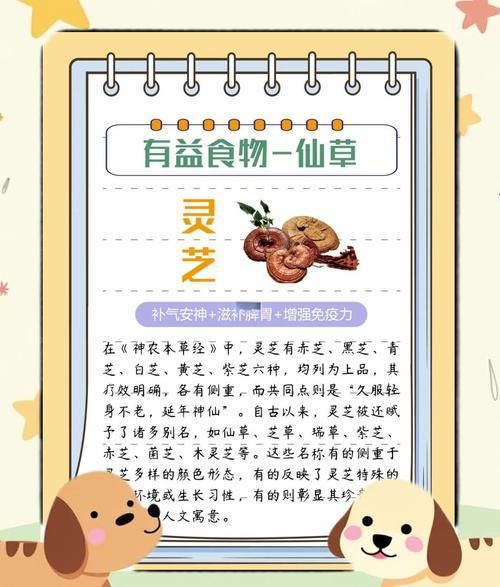 孕妇可以吃灵芝吗_孕期吃灵芝的注意事项-第1张图片-星辰妙记 孕妇可以吃灵芝吗_孕期吃灵芝的注意事项-第1张图片-星辰妙记