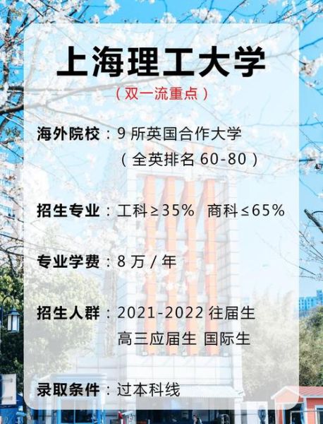 上海理工大学中英国际学院怎么样_就业前景如何-第3张图片-星辰妙记