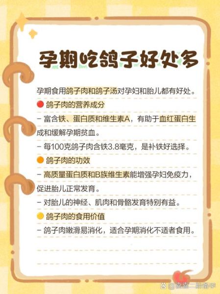 孕妇能吃鸽子吗_孕妇吃鸽子的好处与禁忌-第2张图片-星辰妙记