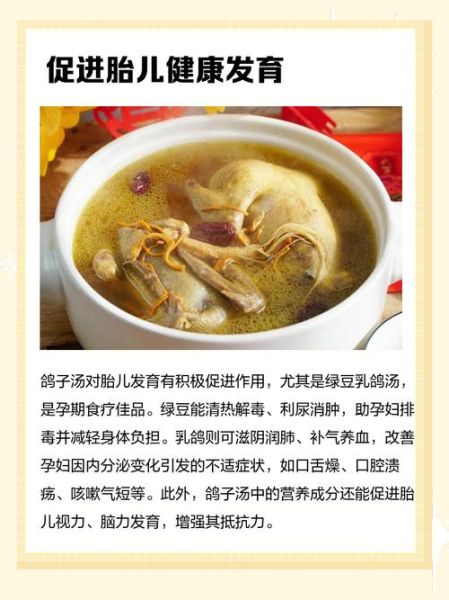 孕妇能吃鸽子吗_孕妇吃鸽子的好处与禁忌-第3张图片-星辰妙记