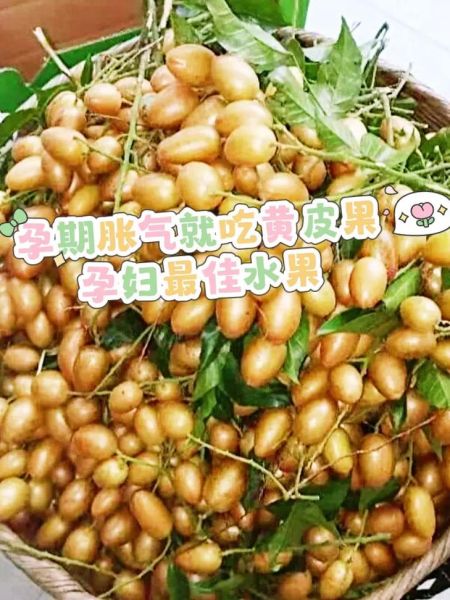 孕妇消食吃什么好_孕妇胃胀吃什么能缓解-第1张图片-星辰妙记