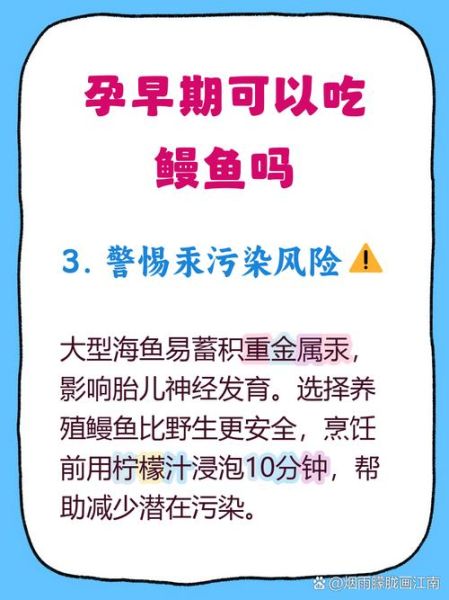 孕妇可以吃鳗鱼吗_孕期吃鳗鱼安全吗-第1张图片-星辰妙记